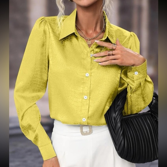 Elegant Satin Jacquard Puff Long Sleeve Button Down Shirt Top Blouse - Picture 6 of 7
